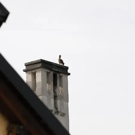 Neu - Moselauszeit Daire Traben-Trarbach