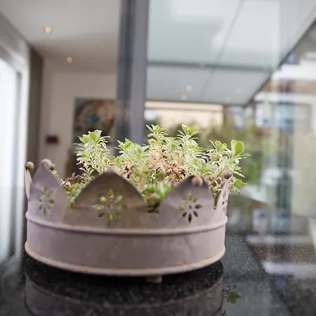 Daire Neu - Moselauszeit *