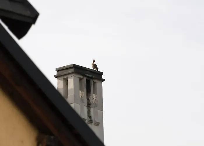 Neu - Moselauszeit Apartamento Traben-Trarbach